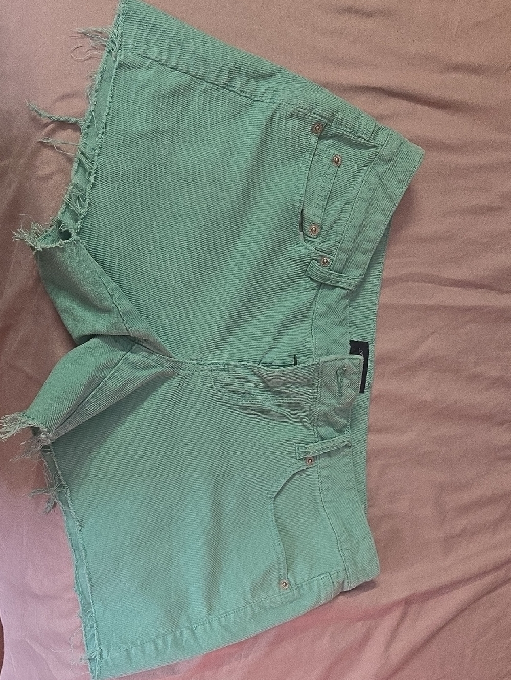 American Eagle Outfitters Mint Green Frayed Hem Denim Shorts